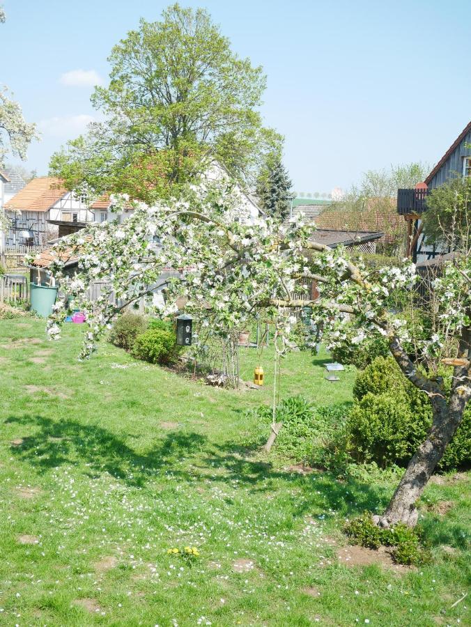 Tiny Ferienhaus Kelze Хофгайсмар Екстериор снимка